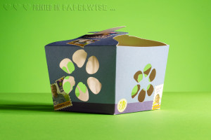 PaperWise packaging physalis fruit 2